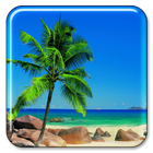 آیکون‌ Paradise Live Wallpaper