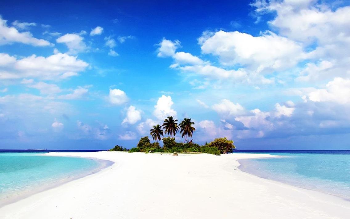 Paradise Live Wallpaper for Android - APK Download