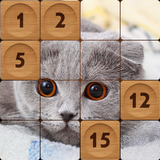 Fifteen Pictures Puzzle