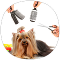 Dog Care & Grooming Guide