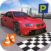 Real Crazy Car Parking Game 3D