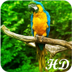 Parrot Wallpapers आइकन