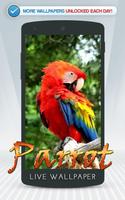 Parrot Live Wallpaper Affiche