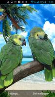 برنامه‌نما Parrot Live Wallpaper عکس از صفحه