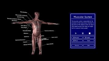 1 Schermata Human Anatomy VR Hub