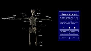 2 Schermata Human Anatomy VR Hub