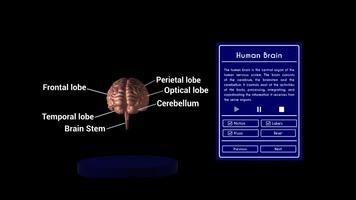 Human Anatomy VR Hub imagem de tela 3