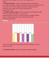 Patologia clinica Ekran Görüntüsü 3