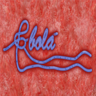 Ebola Guide icon