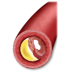 Cholesterol Guide icône