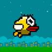 Bouncy Fly Bird