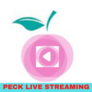 Peck Live Streaming Guide APK