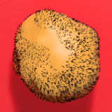 Beard Potato icône