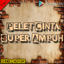 Pelet Cinta Ampuh Dalam 1 Hari APK