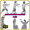 Pencak Silat Martial Arts APK