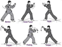 Pencak Silat Kampfkunst Plakat