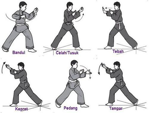 Pencak Silat Martial Arts For Android Apk Download