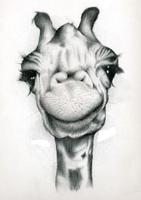 Bosquejo del lápiz de dibujo de las ideas captura de pantalla 2
