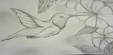 Pencil sketch design