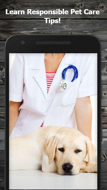 Kinito pet на андроид. Samsung Pet Care Edition. Самсунг Pet Care Edition как чистить.