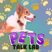 Pets Talk Lab:know your dog