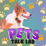 Pets Talk Lab:know your dog biểu tượng