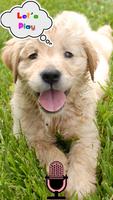 Pets Talk Lab:know your dog ảnh chụp màn hình 1