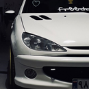 Peugeot 206 ремонт ,схемы,пежо APK