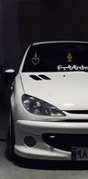 Пыжик 206 ,  Peugeot 206 Affiche