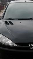 Пыжик 206 ,  Peugeot 206 تصوير الشاشة 1