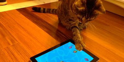 Peppy fishes for cats toy game скриншот 1