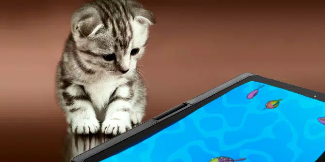 JOGO PARA GATOS: peixes na tela 