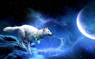 Animals Wallpapers screenshot 1