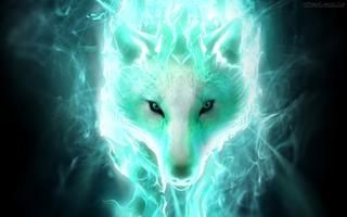 Animals Wallpapers screenshot 2
