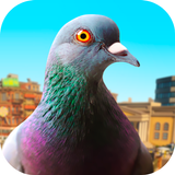 Pigeon APK