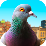 Pigeon-APK