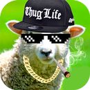 Thug Life - Xã Hội Đen Chỉnh Sửa Ảnh APK