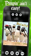Thug Life Picture Maker APK download