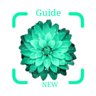 Guide for Picture flower’s Identification plants icône