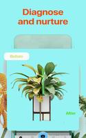 Guide for Picture flower’s Identification plants Affiche