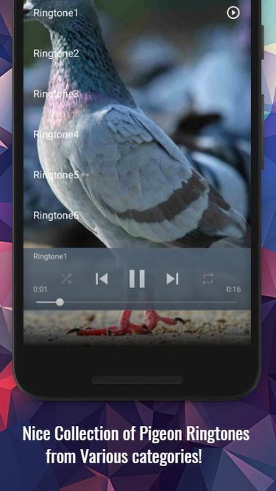 Pigeon voice ringtone free download windows 7