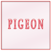 Pigeon icon