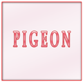 Pigeon