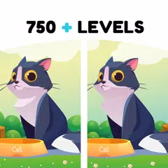 Find the Differences 750+ XAPK 下載