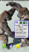 Pimlical Calendar Widget screenshot 1