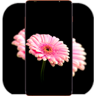 Pink Flower Wallpaper иконка