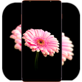 Pink Flower Wallpaper simgesi