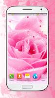 Pink Flowers Live Wallpaper screenshot 3