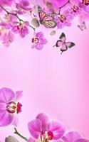 Pink Flowers Live Wallpaper poster
