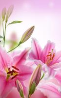 Pink Flowers Live Wallpaper screenshot 1